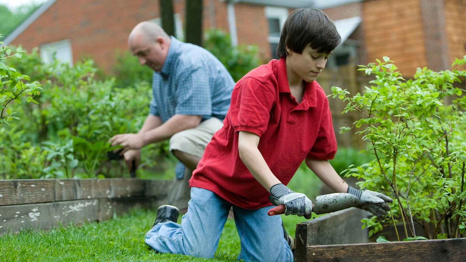 Urban Garden