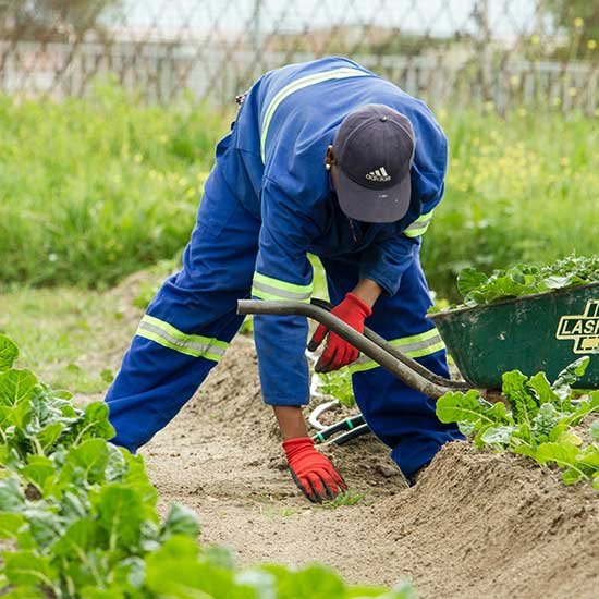 Irrigation Systems